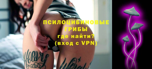 прущий лед Гусев