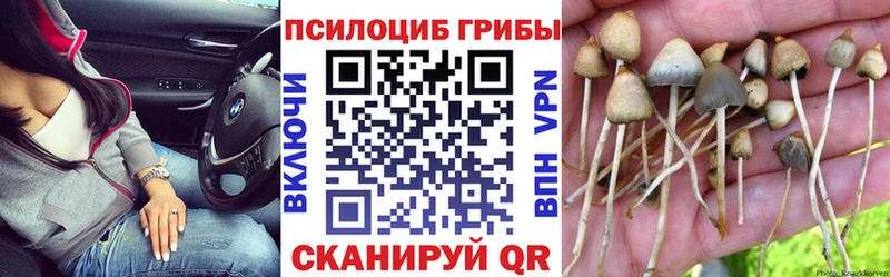 Купить  Абаза  Псилоцибиновые грибы MAGIC MUSHROOMS 